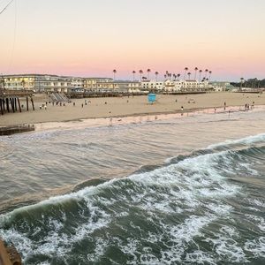 Meet your Posher, Laney